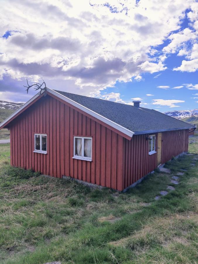 Kyrkjestolen B&B Tyinkrysset Dış mekan fotoğraf