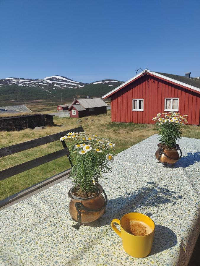 Kyrkjestolen B&B Tyinkrysset Dış mekan fotoğraf